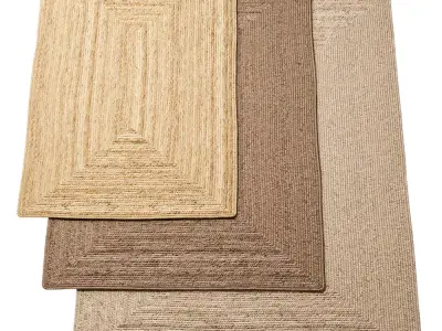 Natural Braided Jute Rug set 8 in one 3D model