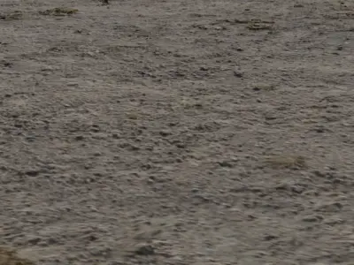 Soil Ground 3D model