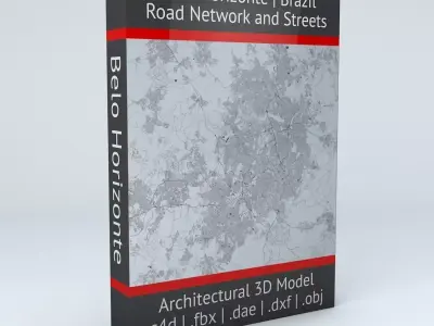  Belo Horizonte Road Network and Streets 3D model
