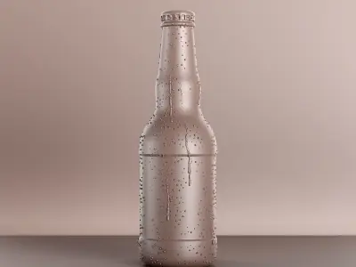 7 Beer Bottles 3D model