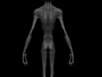 3D Alien humanoid 3D model
