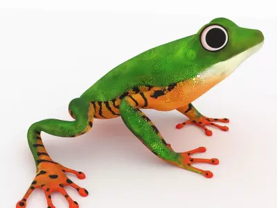 Frog 6 orange tree 3D model