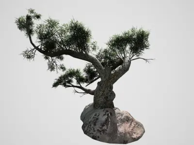 Jeffrey Pine Tree Low-poly 3D model