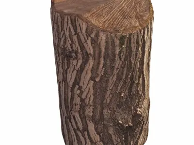 trunk 100 3D model