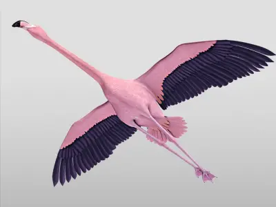  Flamingo Pink - Flight 