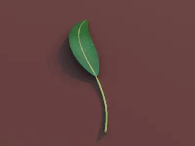 Cartoon Eucalyptus Leaf 3D Model Low-poly 3D model