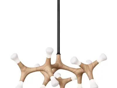 Root Anzazo-P5 3D model