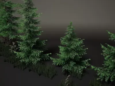 Tree Pine Asset Low-poly 3D model