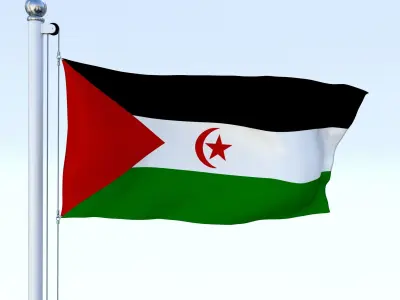 Animated Western Sahara Flag Low-poly 3D model