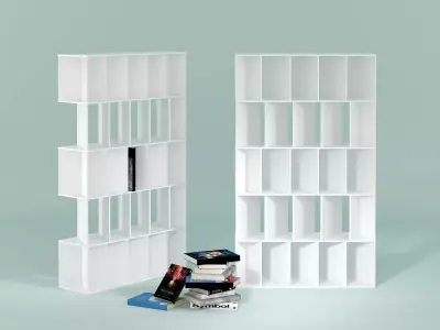 Fun bookcase 3D model