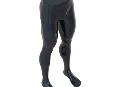 Male Mannequin Legs for Pants and Shorts 88 3D model