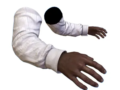 First Person Arms shirt FPS RIGGED animated Low-poly 3D model