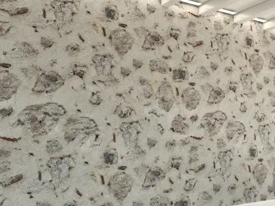 Brick wall Old brick 148 Texture