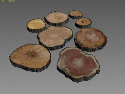 Wood Log Slices 3D model