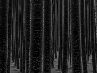 Scalp and Hair Closeup X-Ray 3D model