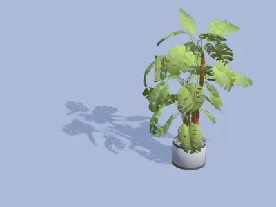 Houseplant in a pot Free low-poly 3D model