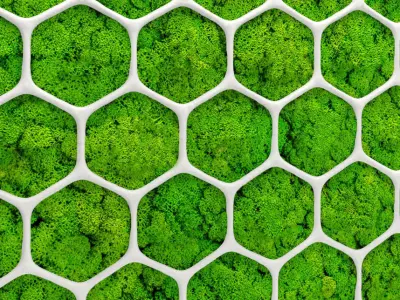 Fytowall moss 3D 2 3D model