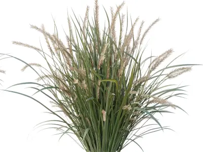  Pampas Bush and Wheat Grass - Bush Set 09 3D model