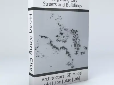 Hong Kong City Streets and Buildings 3D model