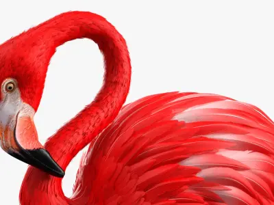  Standing Flamingo Bird on One Leg Red 
