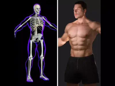 Full Male Body X-Ray With Skeleton 3D model