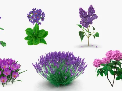  Purple Flowering Plants Collection 5 