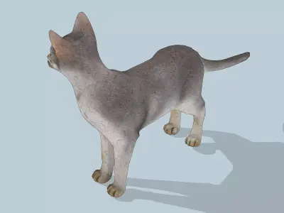 Slender Cat Low-poly 3D model