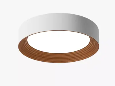 Modern Circular Ceiling Light 3D model