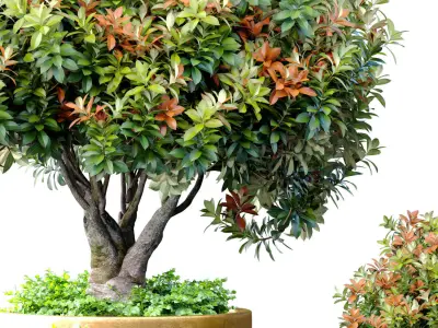 Decorative flowering tree classic gold tall vase urn  ArtDeco  3D model