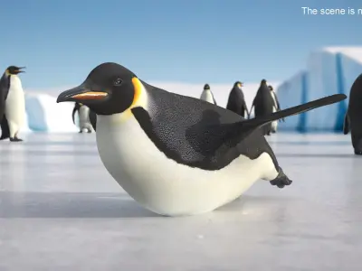  Large Penguin Bird Black White Rigged for Cinema 4D 