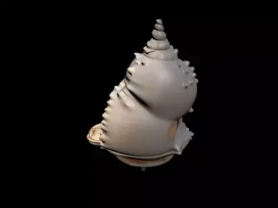 Seashell Cottage 3D model