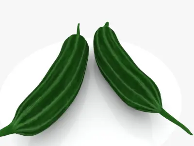 Ridge Gourd Low-poly 3D model