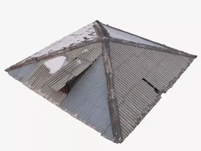 Old Roof Scan 3d model Low-poly 3D model