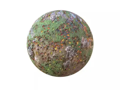 Grassy Ground Texture