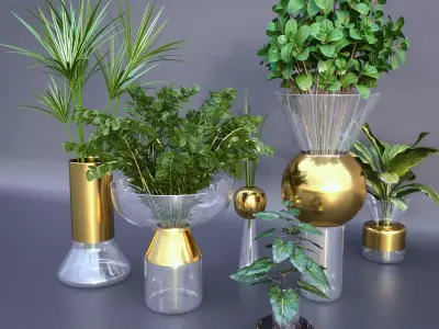 Decorative set with plants in vases 3D model