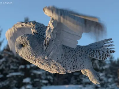  Snowy Owl with Spread Wings Rigged For Blender 