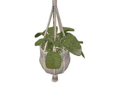 Macrame Hanging Plant with Pot Low-poly 3D model