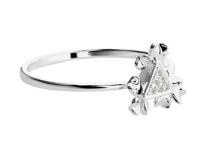Ring - 04 3D print model