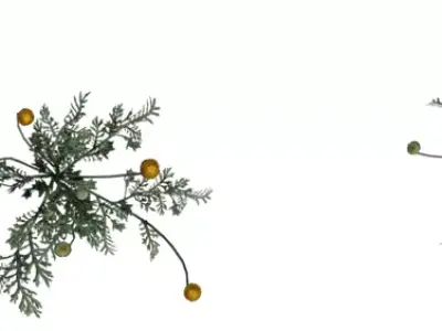 Realistic Yellow Wildflower Clump Low-poly 3D model