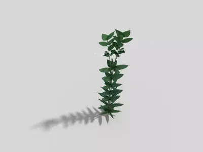 Low poly Plant Low-poly 3D model