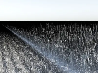  Wheat Field (+GrowFX) 