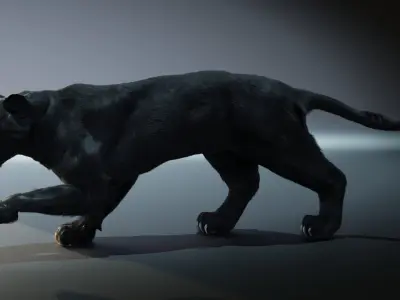 Black Panther 3D Model 3D model