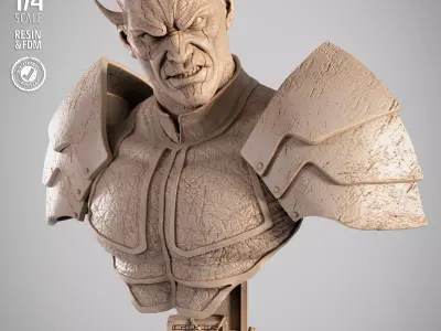 STAR WARS Savage Portrait Bust 3D print model