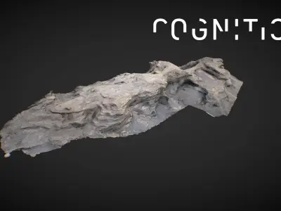 Iceland Tidal Rocks 02 Low-poly 3D model