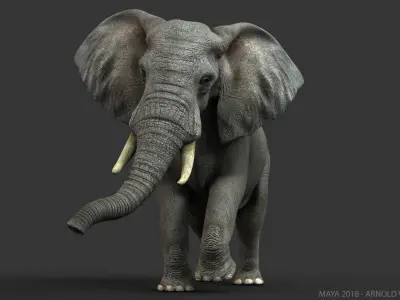  African Elephant (2) (ANIMATED) 