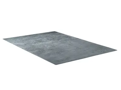 Scales River rug 3D model