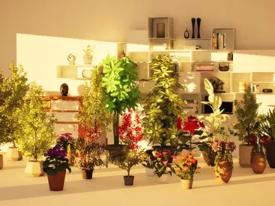 High-Poly Indoor Plants for Realistic Design Low-poly 3D model