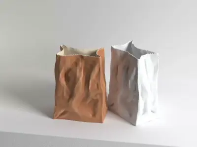 Bag Vase 3D model
