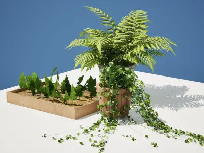 indoor and exterior pot plant trio 3d pack Low-poly 3D model