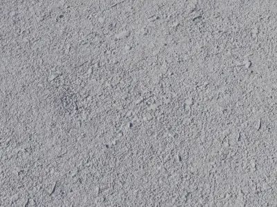 Forest Path Gravel With Leaf Litter PBR Texture Texture